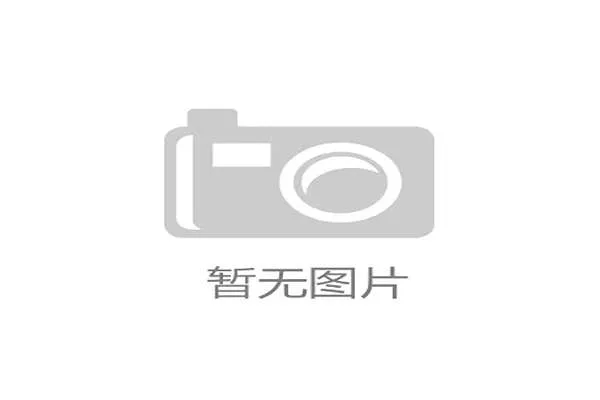 《糖豆人》原班人马最新力作《青蛙小队》将于2026年6月发售