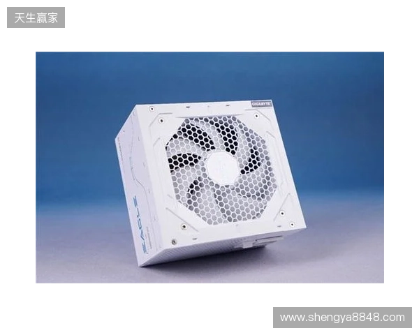 黑白双鹰，白金降临：技嘉猎鹰 冰猎鹰白金电源4月27日开售